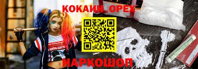 прущие грибы Надым
