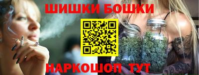 прущие грибы Надым