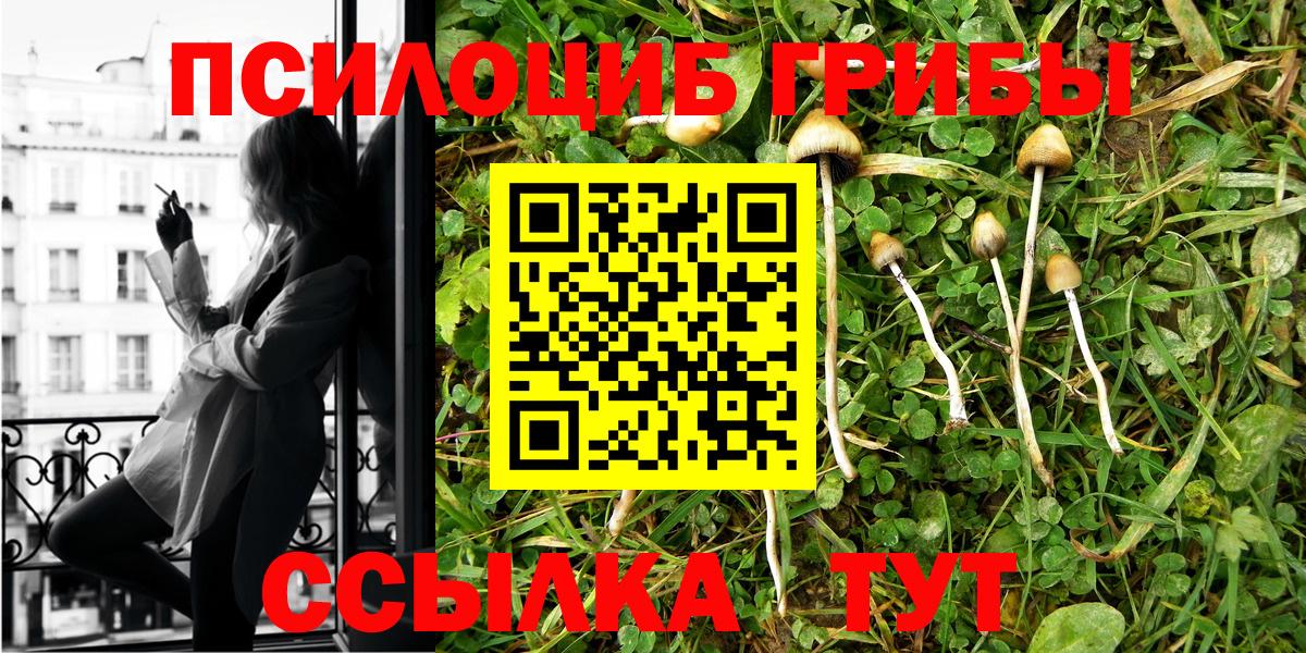 Псилоцибиновые грибы MAGIC MUSHROOMS  Вход с VPN  Красноярск 