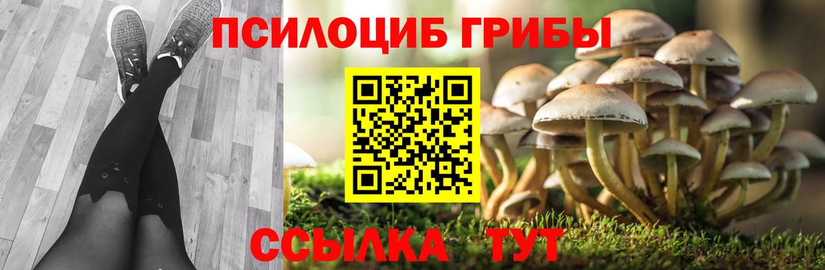 Псилоцибиновые грибы Magic Shrooms Красноярск